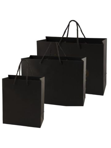 Eurotote Gift Bag with Rope Handles and Metallic Imprint – Taylor Campus  Store